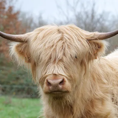 De Charme A La Campagne 別荘 Lusignan-Petit