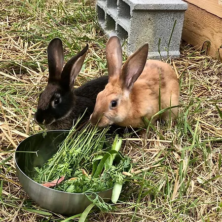 De Charme A La Campagne 別荘 *
