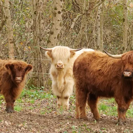 De Charme à La Campagne Lusignan-Petit