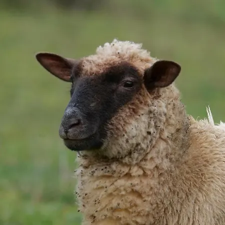 De Charme A La Campagne 別荘