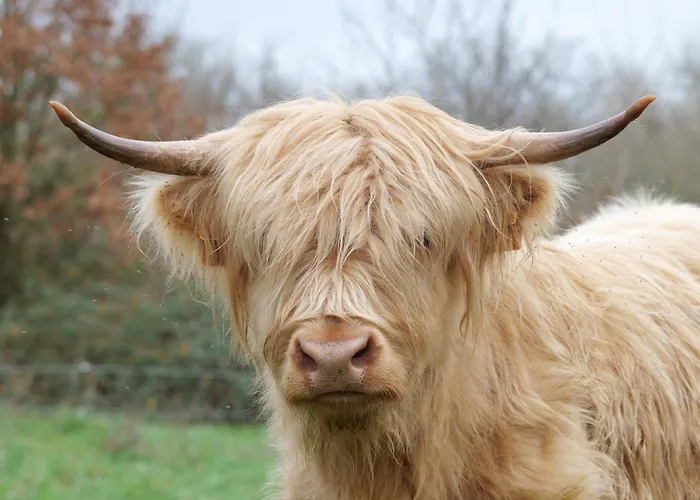 De Charme A La Campagne בית נופש Lusignan-Petit