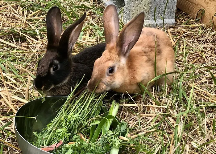 De Charme A La Campagne בית נופש *