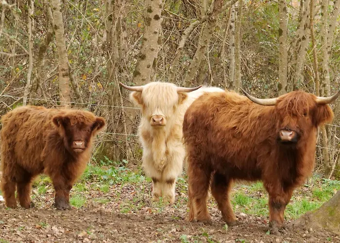De Charme A La Campagne Lusignan-Petit