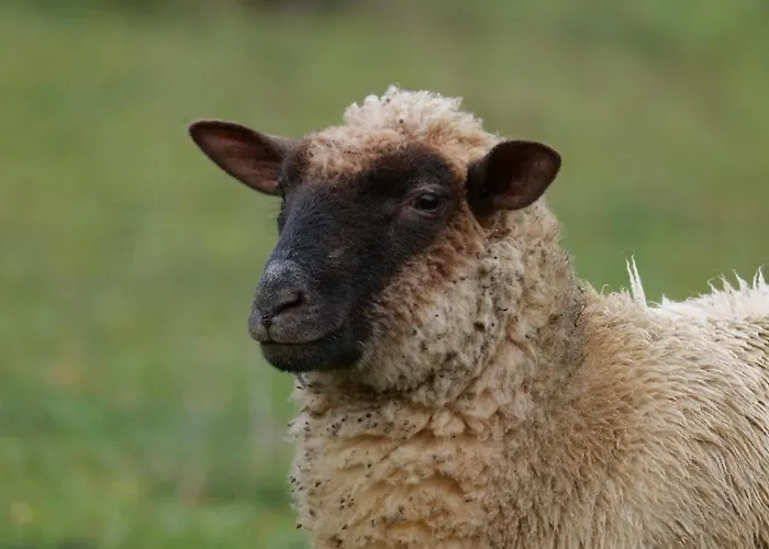 De Charme A La Campagne בית נופש