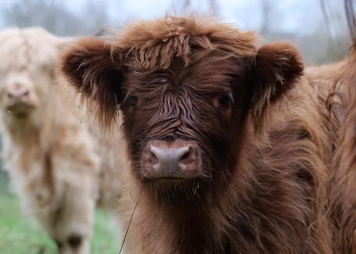 De Charme A La Campagne