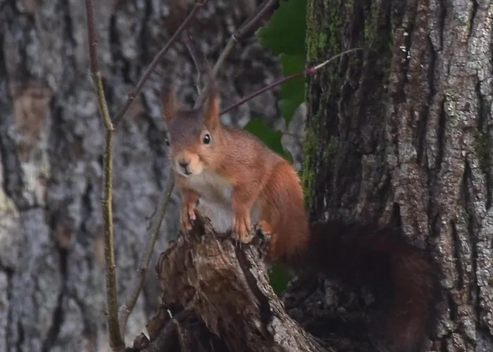De Charme A La Campagne Lusignan-Petit
