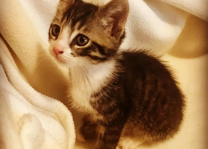 De Charme A La Campagne בית נופש